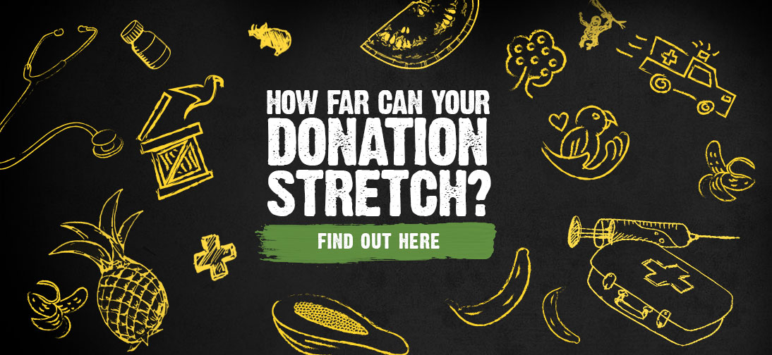 How far can your donation stretch find out here!